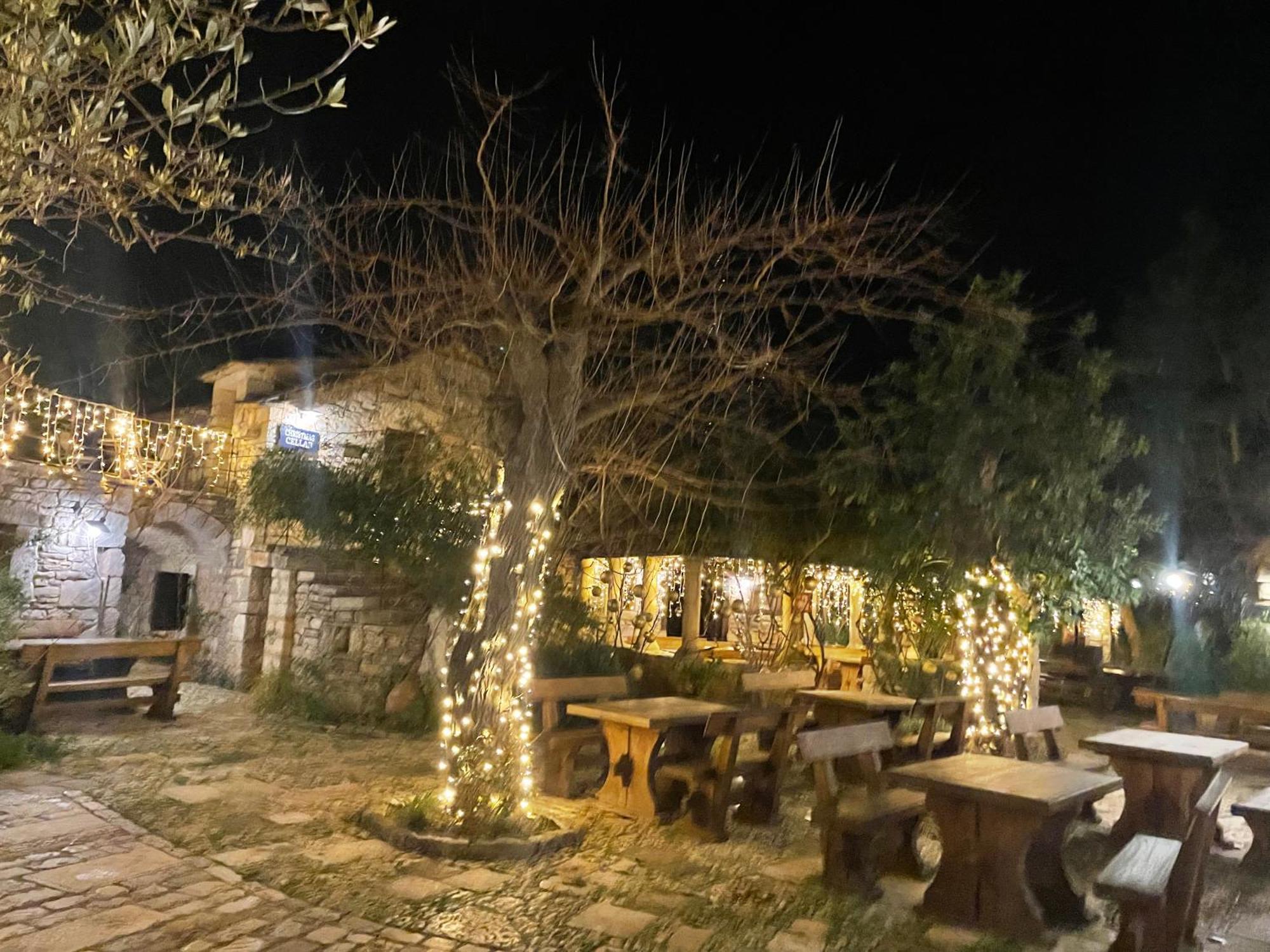 My Adriatic Place With Private Garden And Garage Sibenik Exterior photo